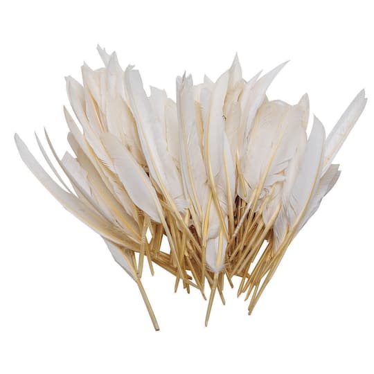 S&#x26;S&#xAE; Worldwide White Long Quill Feathers, 144ct.